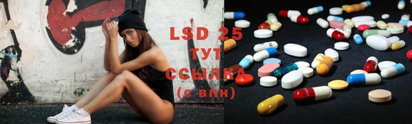 ECSTASY Богданович