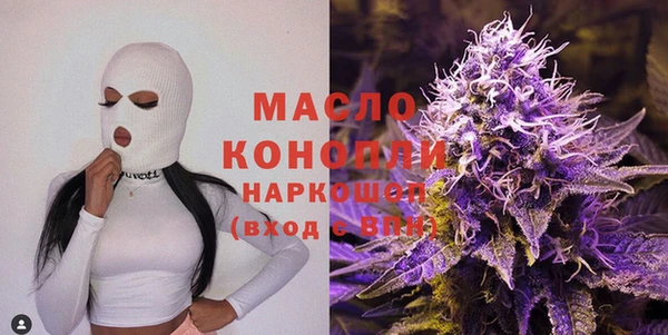 ECSTASY Богданович