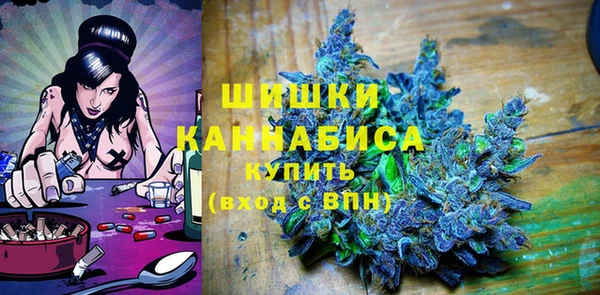 ECSTASY Богданович