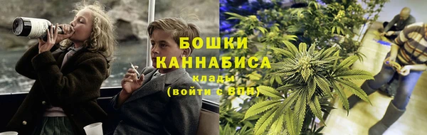 ECSTASY Богданович