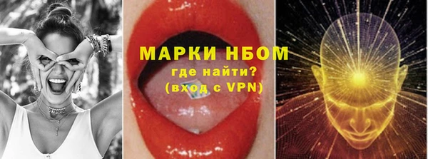 ECSTASY Богданович