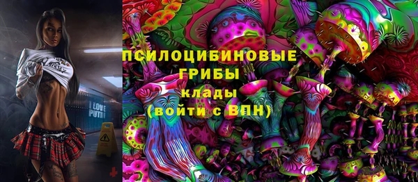 ECSTASY Богданович