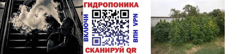 Шишки марихуана ГИДРОПОН Барыш